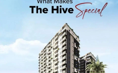 The Hive: Your Modern Urban Oasis