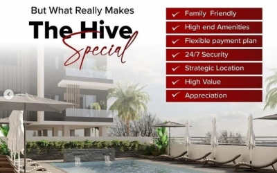 The Hive: Your Urban Sanctuary