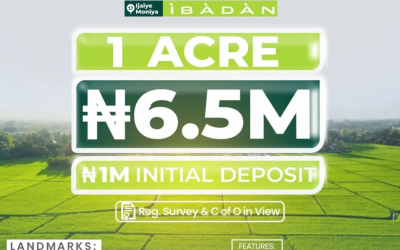 DISCOVER Your Dream Haven at Emerald Estate, Ibadan!