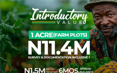 Invest in Your Future: Own a Piece of Morayo Farm – Your Fully Managed Agricultural Estate in Epe